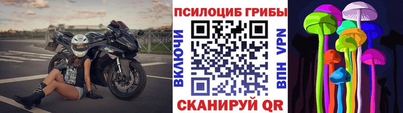 купить сайты Киренск Галлюциногенные грибы Cubensis